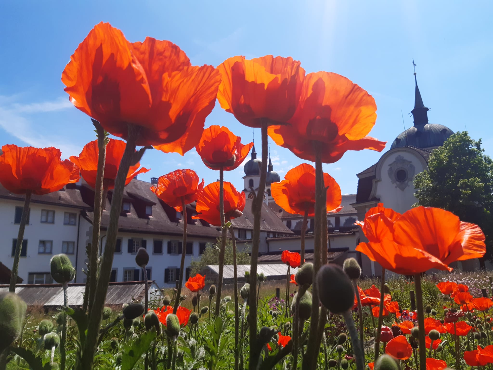 Viele Besucher am Tag des Denkmals im Kloster Eschenbach 